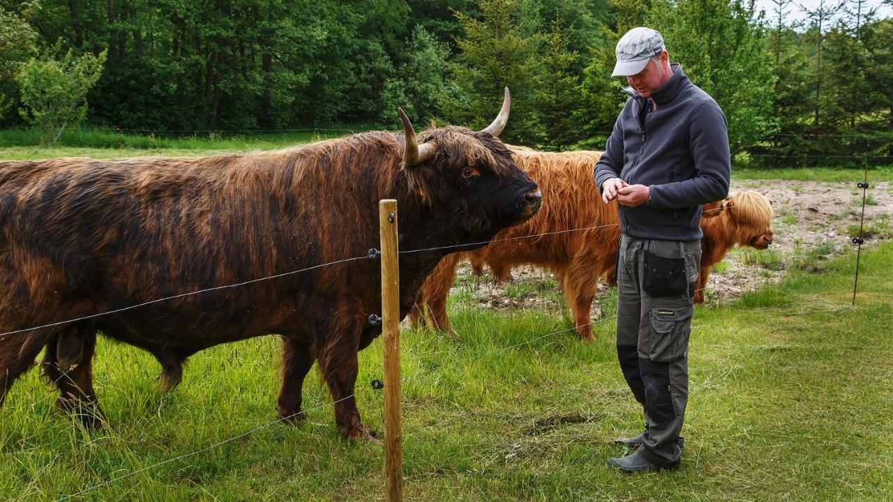 Appartamento Risti Kodumajutus Lemsi Esterno foto