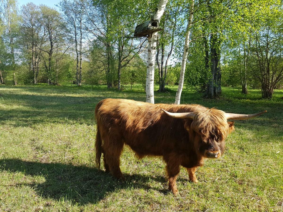 Appartamento Risti Kodumajutus Lemsi Esterno foto